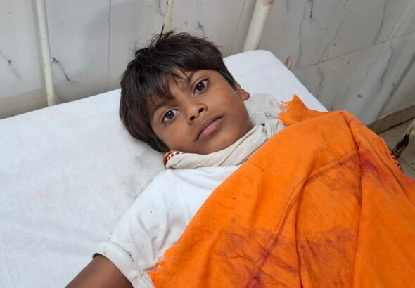 दिल दहला देने वाली घटना: रात में चारपाई से बच्चे को उठाकर ले गया श्वान