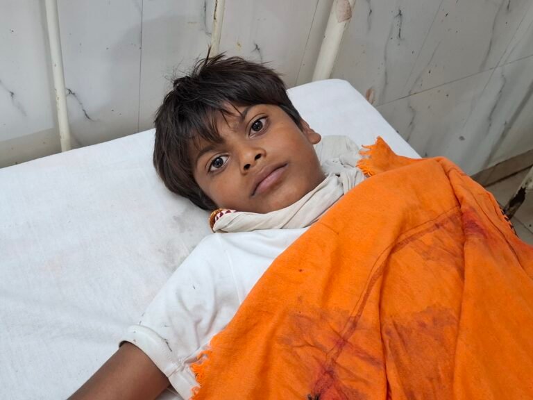 दिल दहला देने वाली घटना: रात में चारपाई से बच्चे को उठाकर ले गया श्वान