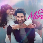 Chand Mera Dil' OTT Release